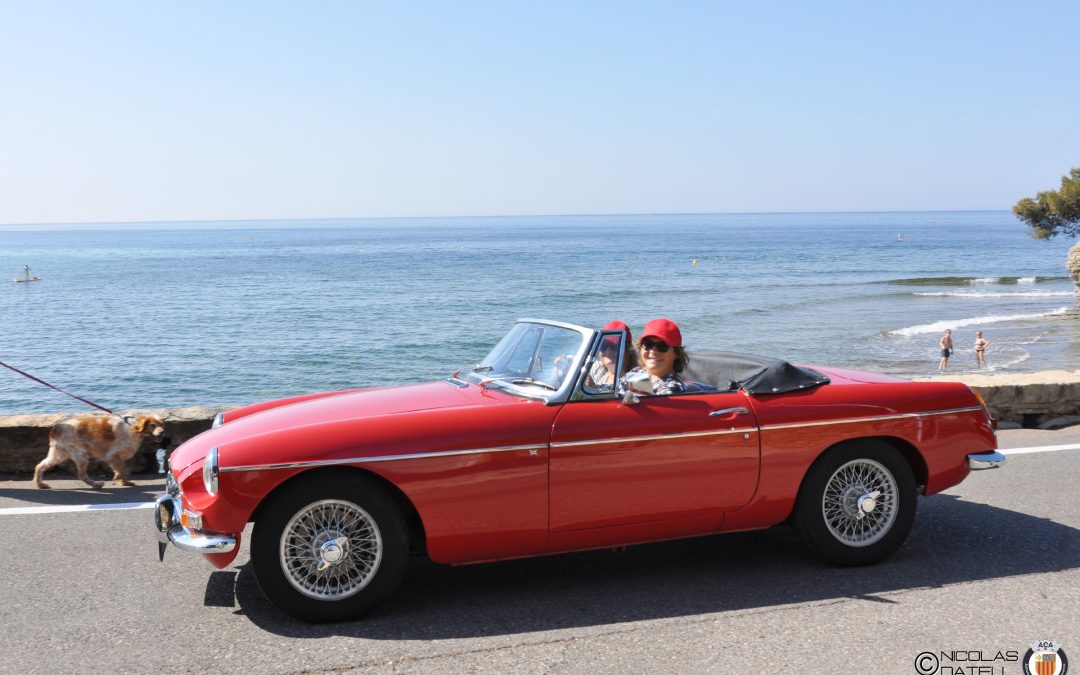 LA VIREE DES DEMOISELLES